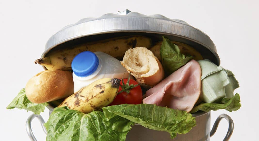 Food Waste greift um sich, wie hier die Lebensmittel im Müll.