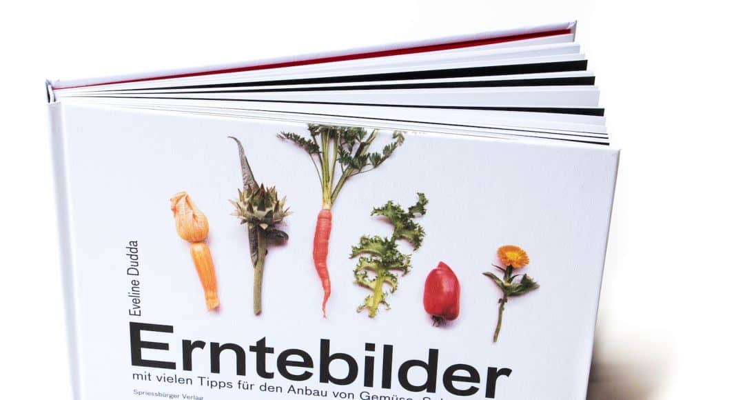 Cover des Buches Erntebilder – mit vielen Tipps für den Anbau von Gemüse, Salat und Co.