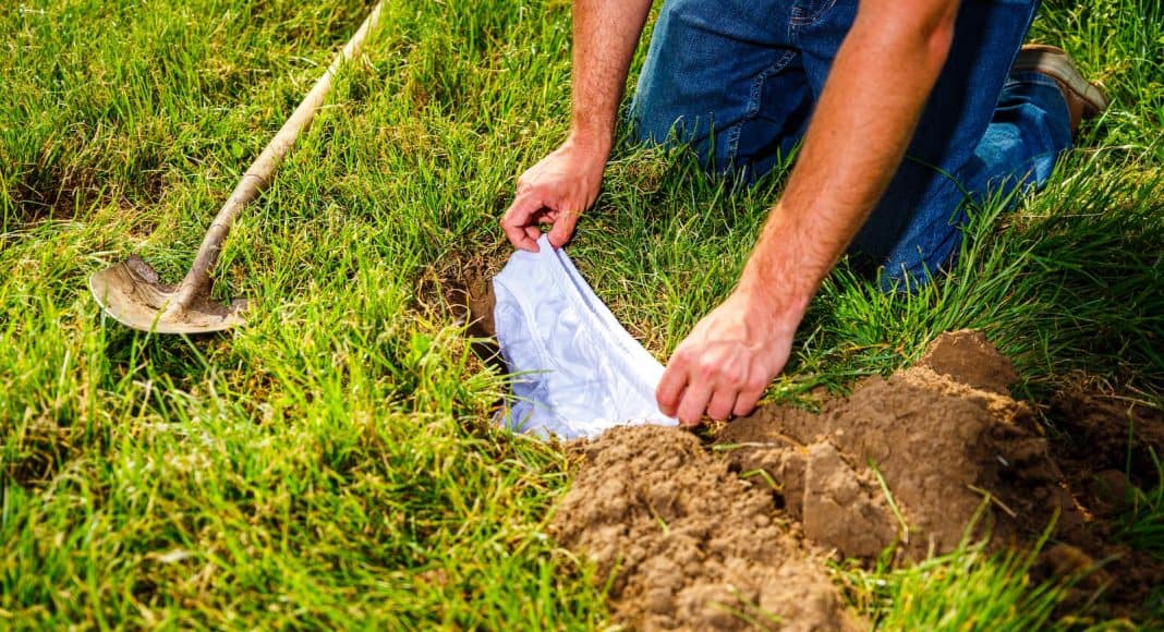 Am Tag des Unterirdischen Lebens kann man Baumwoll-Unterhosen vergraben.