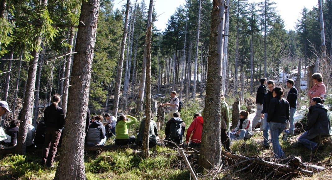 Studenten auf Exkursion im Wald
