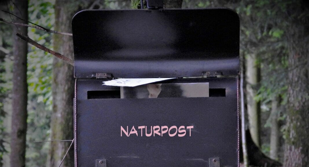 Naturpost