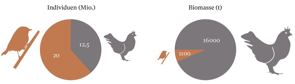 Grafik Vergleich Wildvögel und Vögel