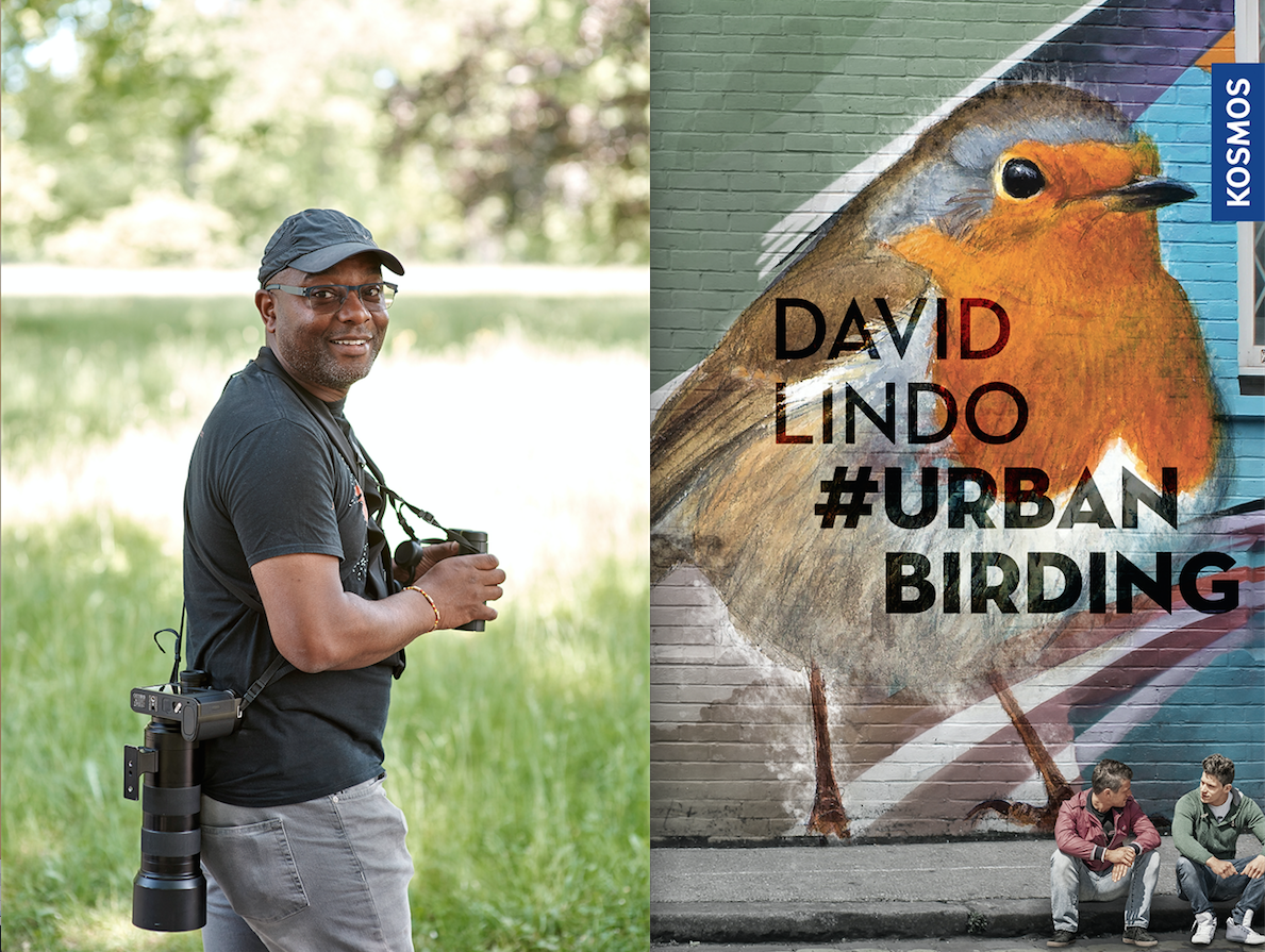 Buchtipp «Urban Birding» erzählt von der Beobachtung von Vögel in der Stadt